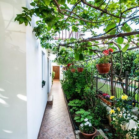 Apartments Lea Пореч Екстер'єр фото